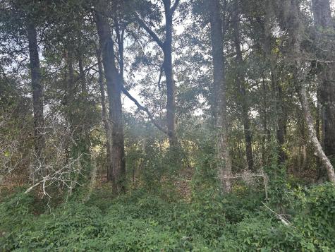 29 Harbor Breeze Drive Saint Helena Island SC 29920