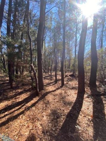 0 River Road Johns Island SC 29455