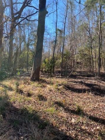 0 River Road Johns Island SC 29455