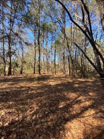 0 River Road Johns Island SC 29455