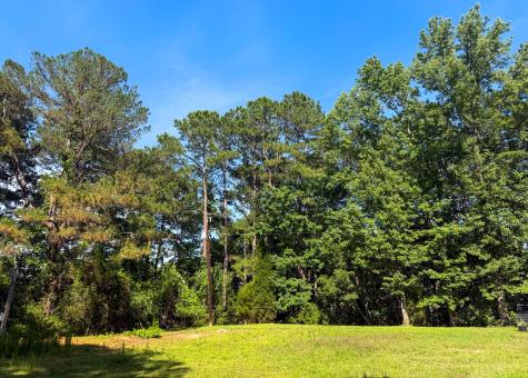 2995 Causey Road Mount Pleasant SC 29466