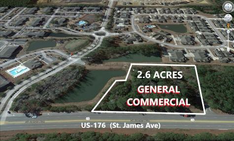 0 Highway 176 Summerville SC 29486