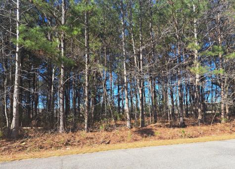 01 Antioch Santee SC 29142