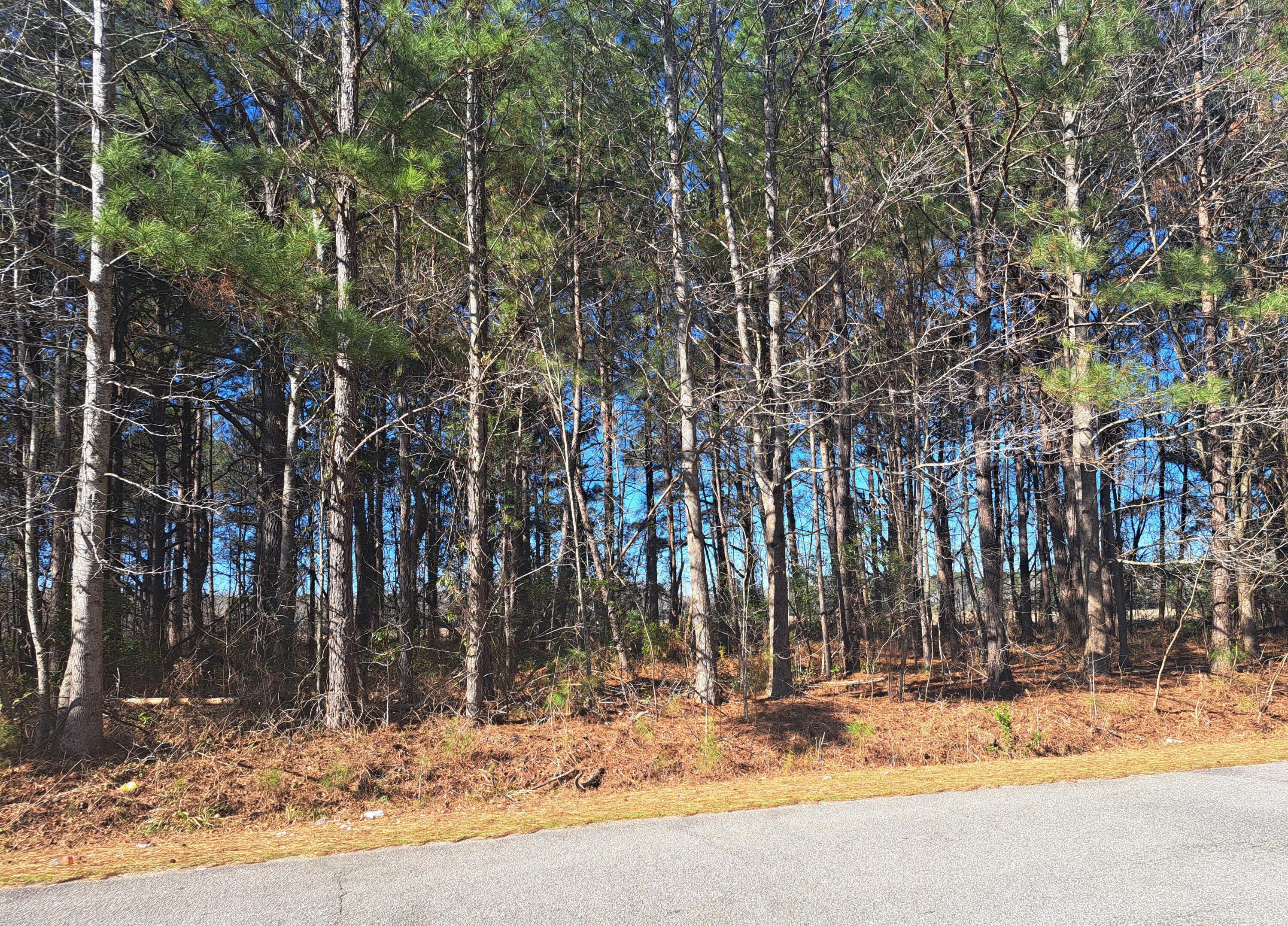 01 Antioch Santee SC 29142