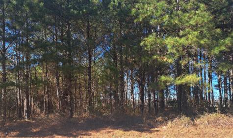 01 Antioch Santee SC 29142