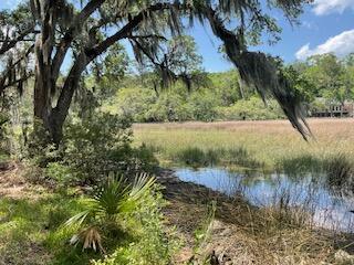 8119 S Loafer Glory Lane Edisto Island SC 29438
