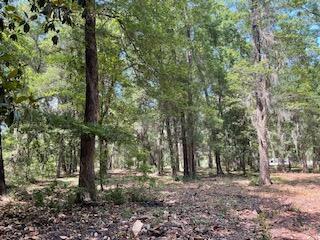 8119 S Loafer Glory Lane Edisto Island SC 29438