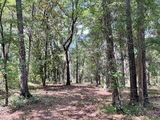 8119 S Loafer Glory Lane Edisto Island SC 29438