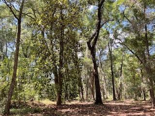 8119 S Loafer Glory Lane Edisto Island SC 29438