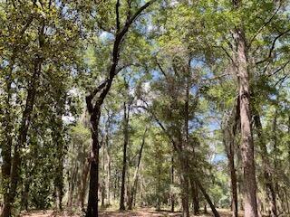 8119 S Loafer Glory Lane Edisto Island SC 29438