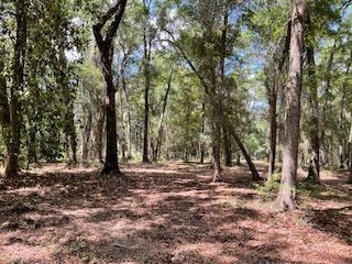 8119 S Loafer Glory Lane Edisto Island SC 29438