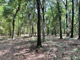 8119 S Loafer Glory Lane Edisto Island SC 29438