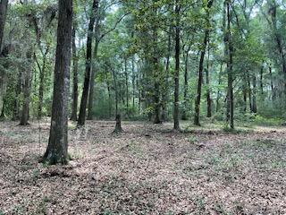 8119 S Loafer Glory Lane Edisto Island SC 29438