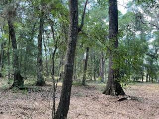 8119 S Loafer Glory Lane Edisto Island SC 29438