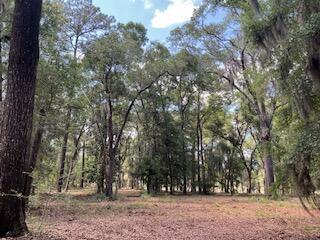8119 S Loafer Glory Lane Edisto Island SC 29438