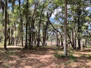 8119 S Loafer Glory Lane Edisto Island SC 29438