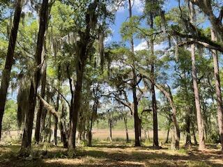 8119 S Loafer Glory Lane Edisto Island SC 29438