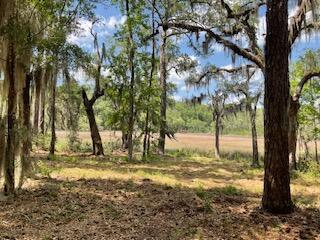 8119 S Loafer Glory Lane Edisto Island SC 29438