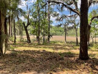 8119 S Loafer Glory Lane Edisto Island SC 29438