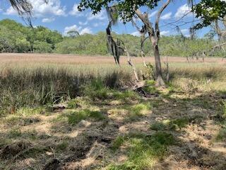 8119 S Loafer Glory Lane Edisto Island SC 29438