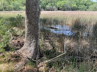 8119 S Loafer Glory Lane Edisto Island SC 29438