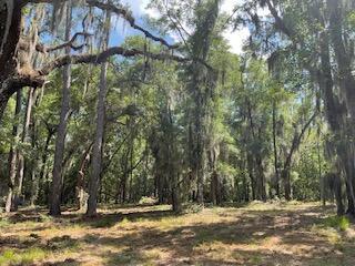 8119 S Loafer Glory Lane Edisto Island SC 29438
