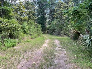 8119 S Loafer Glory Lane Edisto Island SC 29438