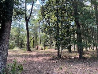 8119 S Loafer Glory Lane Edisto Island SC 29438