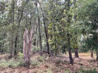8119 S Loafer Glory Lane Edisto Island SC 29438