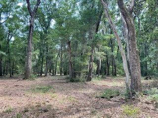 8119 S Loafer Glory Lane Edisto Island SC 29438