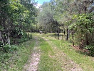 8119 S Loafer Glory Lane Edisto Island SC 29438
