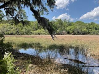 8119 S Loafer Glory Lane Edisto Island SC 29438