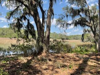 8119 S Loafer Glory Lane Edisto Island SC 29438