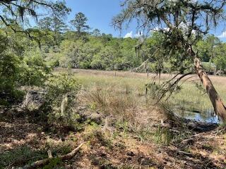 8119 S Loafer Glory Lane Edisto Island SC 29438