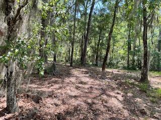 8119 S Loafer Glory Lane Edisto Island SC 29438