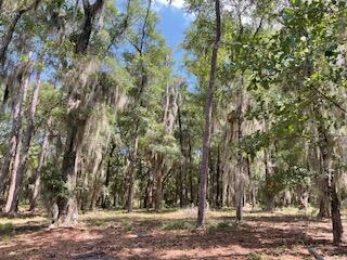 8119 S Loafer Glory Lane Edisto Island SC 29438