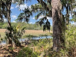 8119 S Loafer Glory Lane Edisto Island SC 29438