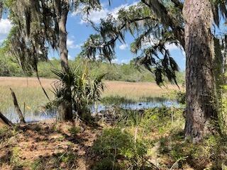 8119 S Loafer Glory Lane Edisto Island SC 29438