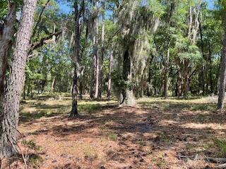 8119 S Loafer Glory Lane Edisto Island SC 29438