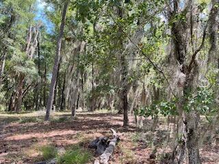 8119 S Loafer Glory Lane Edisto Island SC 29438