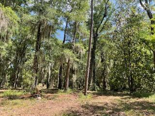 8119 S Loafer Glory Lane Edisto Island SC 29438