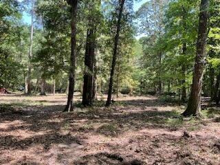 8119 S Loafer Glory Lane Edisto Island SC 29438