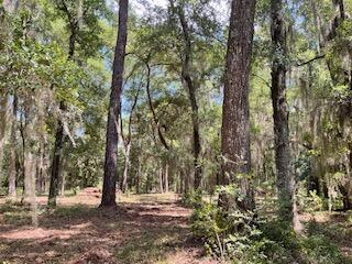 8119 S Loafer Glory Lane Edisto Island SC 29438