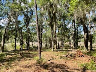 8119 S Loafer Glory Lane Edisto Island SC 29438