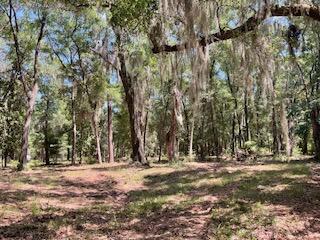 8119 S Loafer Glory Lane Edisto Island SC 29438
