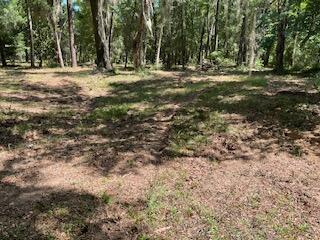 8119 S Loafer Glory Lane Edisto Island SC 29438