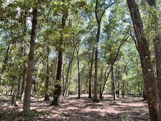8119 S Loafer Glory Lane Edisto Island SC 29438