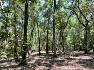 8119 S Loafer Glory Lane Edisto Island SC 29438