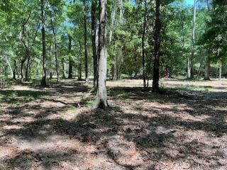 8119 S Loafer Glory Lane Edisto Island SC 29438