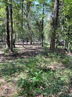 8119 S Loafer Glory Lane Edisto Island SC 29438